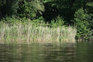 Kleiner See 